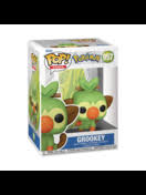 Pokemon Pop!