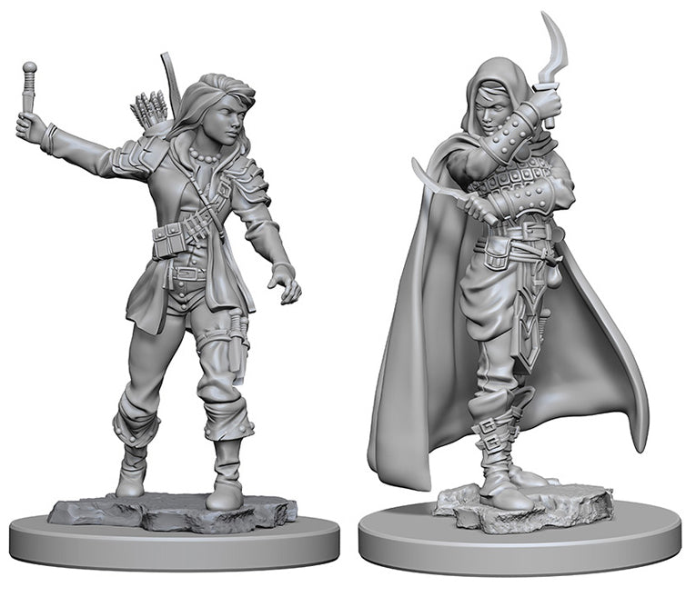 Pathfinder Deep Cuts Unpainted Miniatures: W01 Human Female Rogue