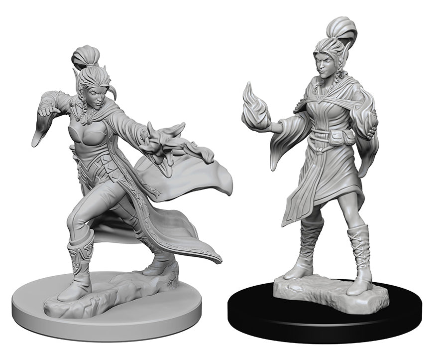 Pathfinder Deep Cuts Unpainted Miniatures: W01 Elf Female Sorcerer