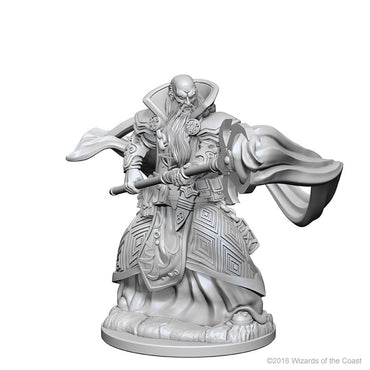 Dungeons & Dragons Nolzur`s Marvelous Unpainted Miniatures: W01 Human Male Wizard