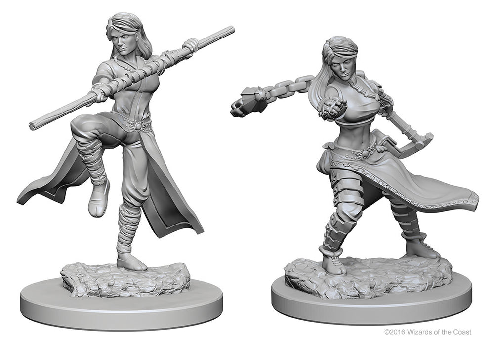 Dungeons & Dragons Nolzur`s Marvelous Unpainted Miniatures: W01 Human Female Monk