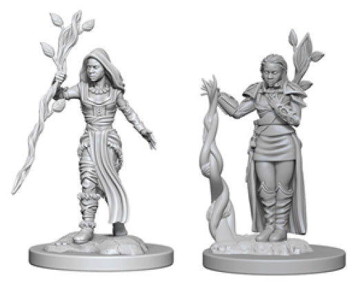 Dungeons & Dragons Nolzur`s Marvelous Unpainted Miniatures: W02 Human Female Druid