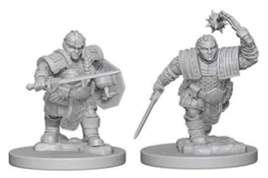 Dungeons & Dragons Nolzur`s Marvelous Unpainted Miniatures: W02 Dwarf Female Fighter