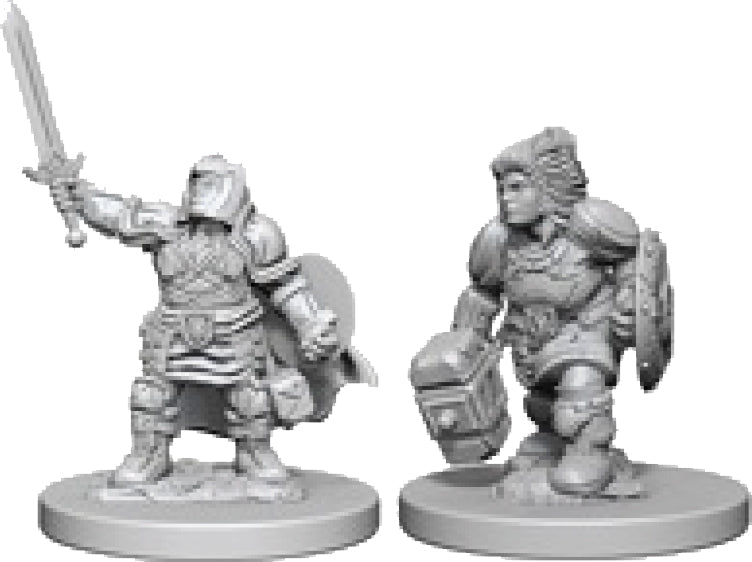 Dungeons & Dragons Nolzur`s Marvelous Unpainted Miniatures: W03 Dwarf Female Paladin