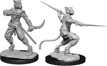 Dungeons & Dragons Nolzur`s Marvelous Unpainted Miniatures: W07 Tabaxi Male Rogue