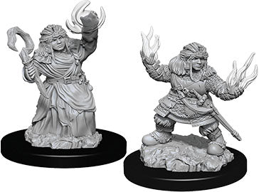 Pathfinder Deep Cuts Unpainted Miniatures: W07 Female Dwarf Summoner