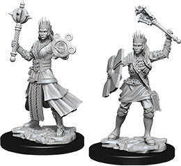 Dungeons & Dragons Nolzur`s Marvelous Unpainted Miniatures: W08 Female Human Cleric