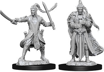 Dungeons & Dragons Nolzur`s Marvelous Unpainted Miniatures: W09 Male Elf Paladin