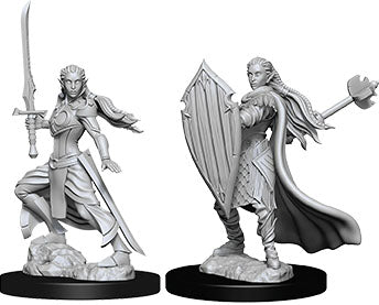 Dungeons & Dragons Nolzur`s Marvelous Unpainted Miniatures: W09 Female Elf Paladin