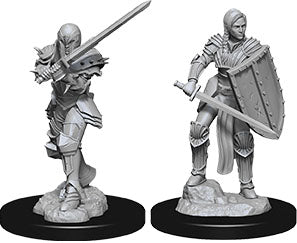 Dungeons & Dragons Nolzur`s Marvelous Unpainted Miniatures: W09 Female Human Fighter