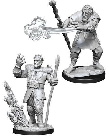 Dungeons & Dragons Nolzur`s Marvelous Unpainted Miniatures: W11 Male Firbolg Druid