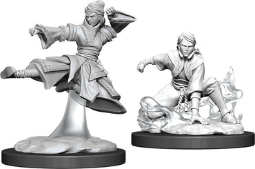 Dungeons & Dragons Nolzur`s Marvelous Unpainted Miniatures: W11 Female Human Monk