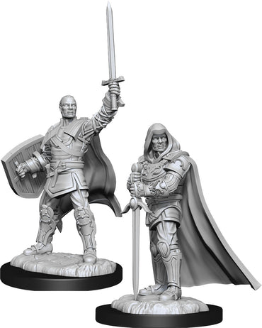 Dungeons & Dragons Nolzur`s Marvelous Unpainted Miniatures: W13 Human Paladin Male