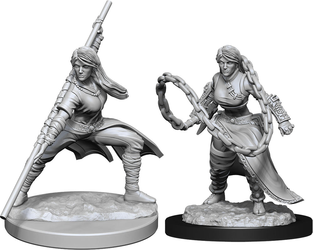 Dungeons & Dragons Nolzur`s Marvelous Unpainted Miniatures: W14 Human Monk Female