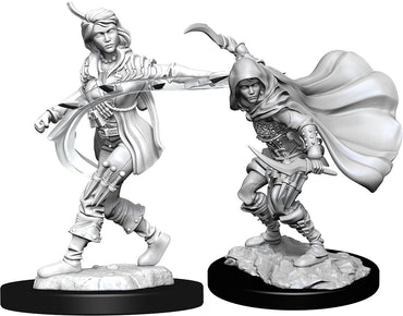 Pathfinder Deep Cuts Unpainted Miniatures: W14 Human Rogue Female